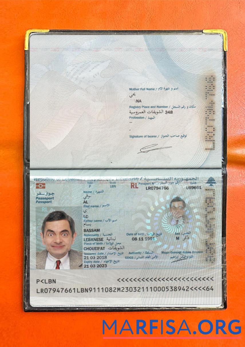 Downloadable Lebanon passport 2018 present photolook sample